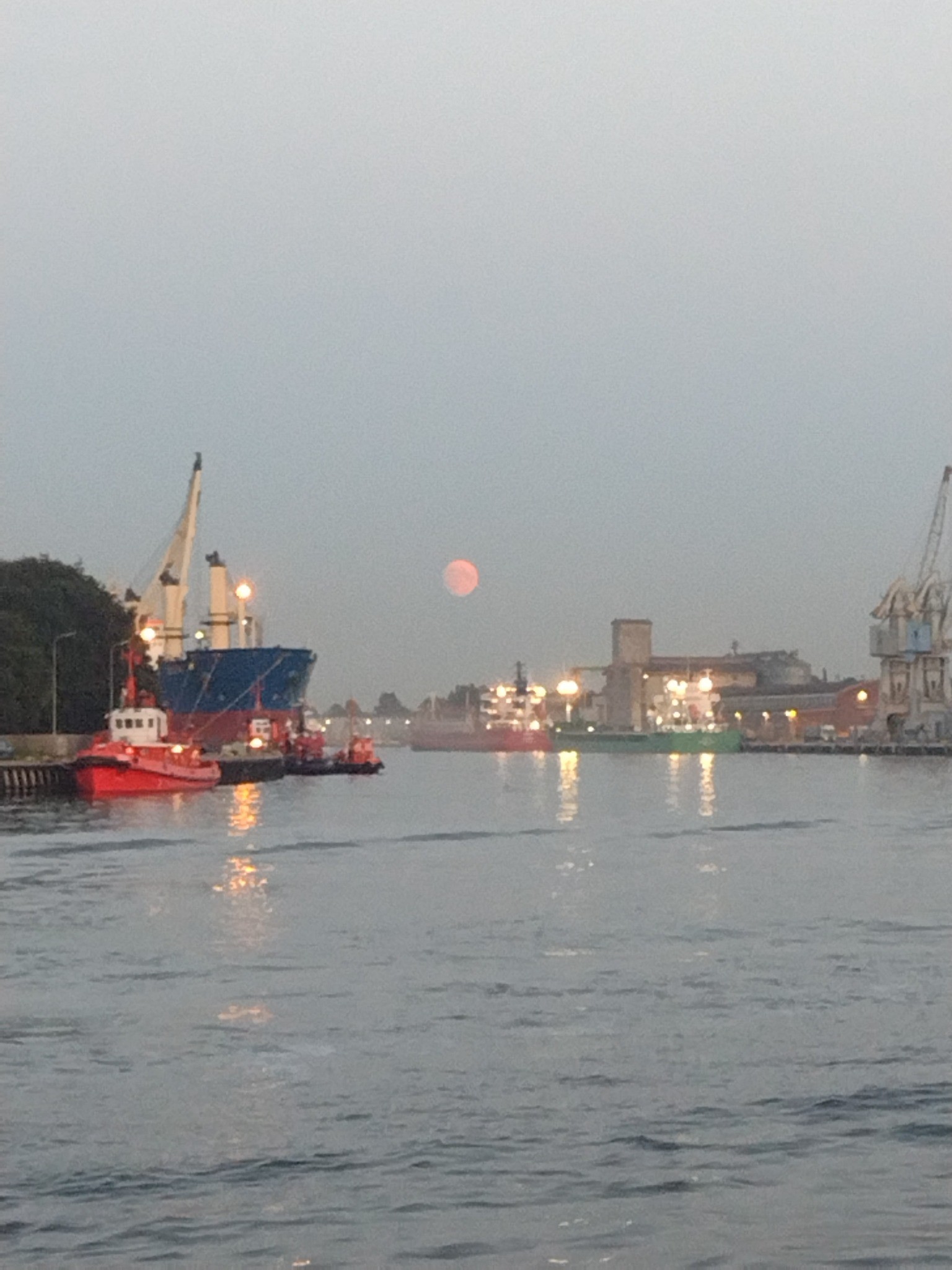 Gdynia i Bałtyk – miasto z morza